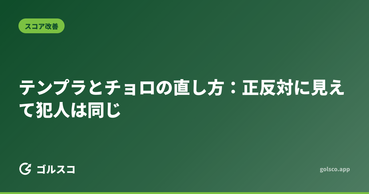 テンプラとチョロの直し方：正反対に見えて犯人は同じ